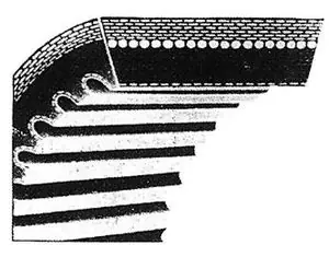Cinghie Variatori Varibelt Sezione 17X6x1100mm